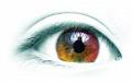Конференция "Роль митохондрий в патогенезе заболеваний глаз"